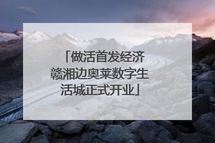 做活首发经济 赣湘边奥莱数字生活城正式开业