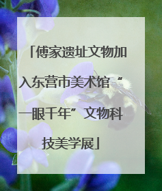 傅家遗址文物加入东营市美术馆“一眼千年”文物科技美学展