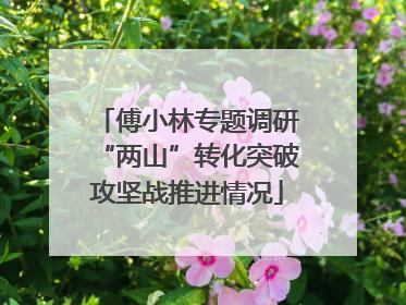 傅小林专题调研“两山”转化突破攻坚战推进情况