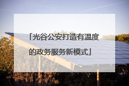 光谷公安打造有温度的政务服务新模式