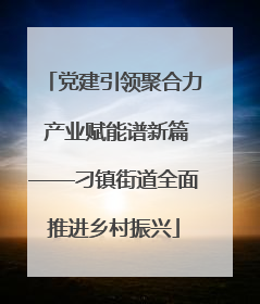 党建引领聚合力 产业赋能谱新篇——刁镇街道全面推进乡村振兴