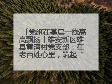 党旗在基层一线高高飘扬丨雄安新区雄县黄湾村党支部：在老百姓心里，筑起“一座山”