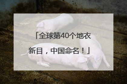 全球第40个地衣新目，中国命名！