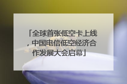 全球首张低空卡上线，中国电信低空经济合作发展大会启幕