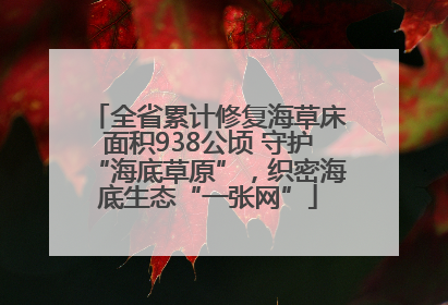 全省累计修复海草床面积938公顷 守护“海底草原”，织密海底生态“一张网”