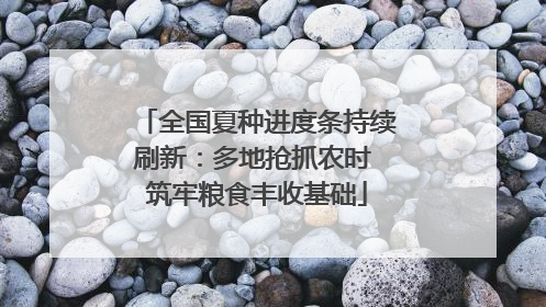 全国夏种进度条持续刷新：多地抢抓农时 筑牢粮食丰收基础