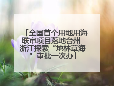 全国首个用地用海联审项目落地台州 浙江探索“地林草海”审批一次办