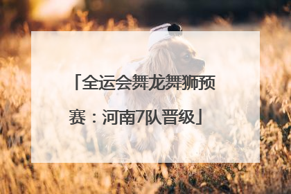 全运会舞龙舞狮预赛：河南7队晋级