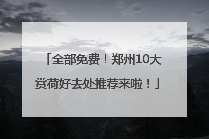 全部免费！郑州10大赏荷好去处推荐来啦！
