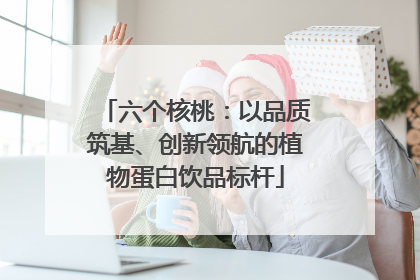 六个核桃：以品质筑基、创新领航的植物蛋白饮品标杆