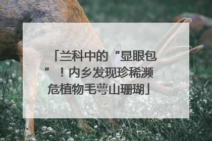 兰科中的“显眼包”！内乡发现珍稀濒危植物毛萼山珊瑚