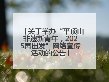 关于举办“平顶山非遗新青年，2025再出发”网络宣传活动的公告