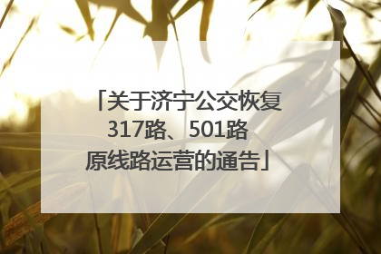 关于济宁公交恢复317路、501路原线路运营的通告