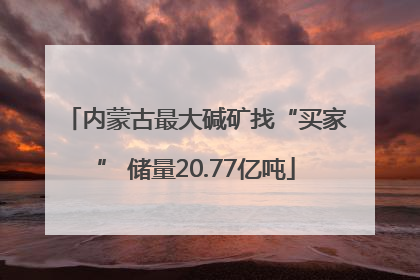 内蒙古最大碱矿找“买家” 储量20.77亿吨