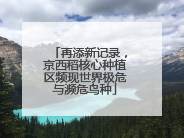 再添新记录，京西稻核心种植区频现世界极危与濒危鸟种