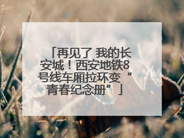 再见了 我的长安城！西安地铁8号线车厢拉环变“青春纪念册”