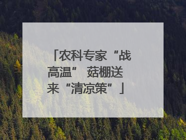 农科专家“战高温” 菇棚送来“清凉策”