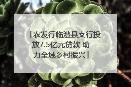 农发行临澧县支行投放7.5亿元贷款 助力全域乡村振兴
