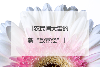 农民闫大雷的新“致富经”