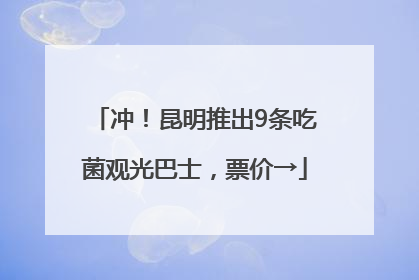 冲！昆明推出9条吃菌观光巴士，票价→