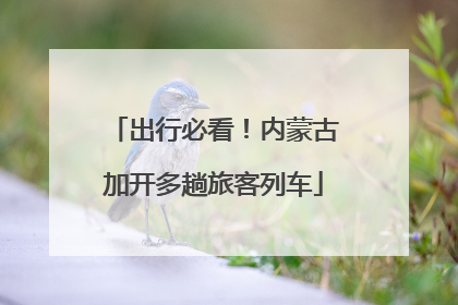 出行必看！内蒙古加开多趟旅客列车