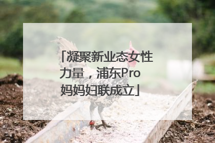 凝聚新业态女性力量，浦东Pro妈妈妇联成立