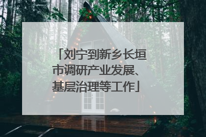 刘宁到新乡长垣市调研产业发展、基层治理等工作