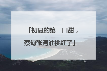 初夏的第一口甜，蔡甸张湾油桃红了