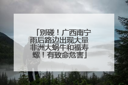 别碰！广西南宁雨后路边出现大量非洲大蜗牛和福寿螺！有致命危害