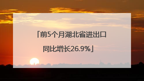 前5个月湖北省进出口同比增长26.9%