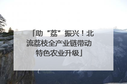 助“荔”振兴！北流荔枝全产业链带动特色农业升级