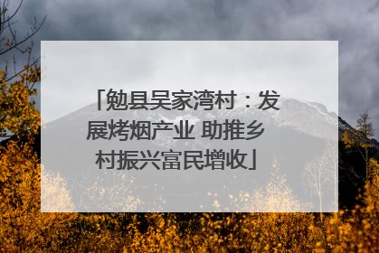 勉县吴家湾村：发展烤烟产业 助推乡村振兴富民增收