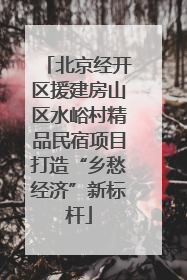 北京经开区援建房山区水峪村精品民宿项目打造“乡愁经济”新标杆