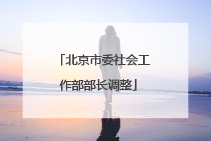 北京市委社会工作部部长调整