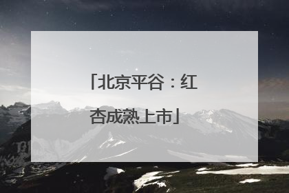 北京平谷：红杏成熟上市
