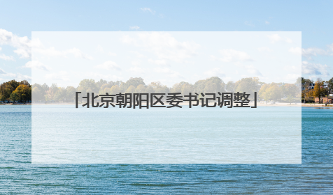北京朝阳区委书记调整