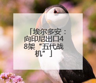 埃尔多安：向印尼出口48架“五代战机”