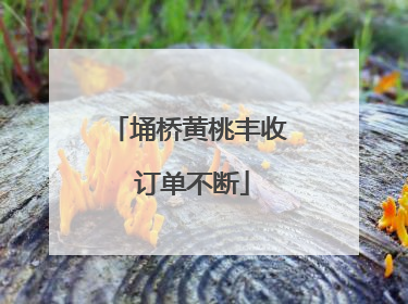 埇桥黄桃丰收 订单不断