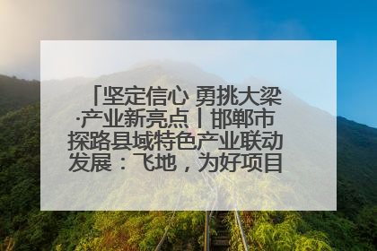 坚定信心 勇挑大梁·产业新亮点丨邯郸市探路县域特色产业联动发展：飞地，为好项目跨域安个家