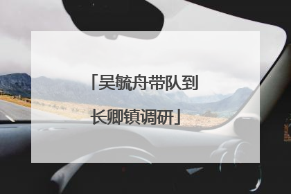 吴毓舟带队到长卿镇调研