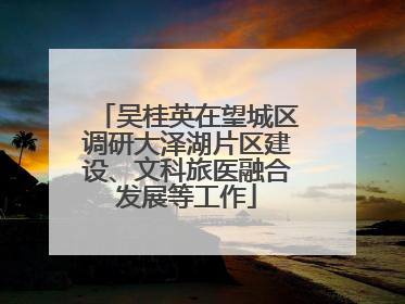 吴桂英在望城区调研大泽湖片区建设、文科旅医融合发展等工作