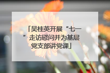 吴桂英开展“七一”走访慰问并为基层党支部讲党课