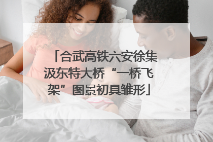 合武高铁六安徐集汲东特大桥“一桥飞架”图景初具雏形