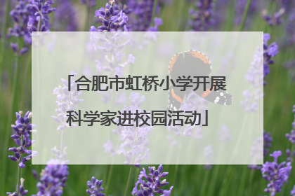 合肥市虹桥小学开展科学家进校园活动