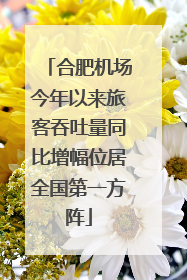 合肥机场今年以来旅客吞吐量同比增幅位居全国第一方阵