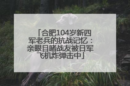 合肥104岁新四军老兵的抗战记忆：亲眼目睹战友被日军飞机炸弹击中