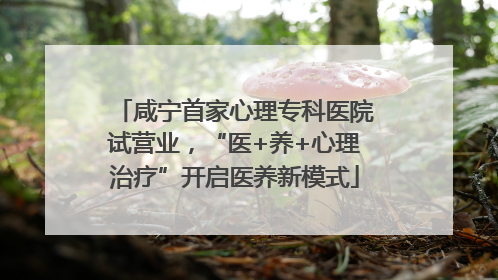 咸宁首家心理专科医院试营业，“医+养+心理治疗”开启医养新模式