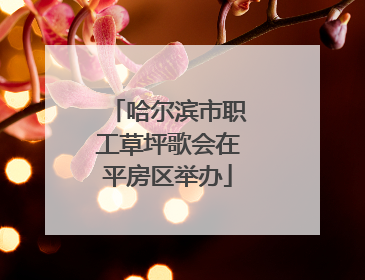 哈尔滨市职工草坪歌会在平房区举办