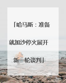 哈马斯：准备就加沙停火展开新一轮谈判