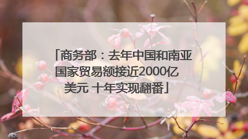 商务部：去年中国和南亚国家贸易额接近2000亿美元 十年实现翻番
